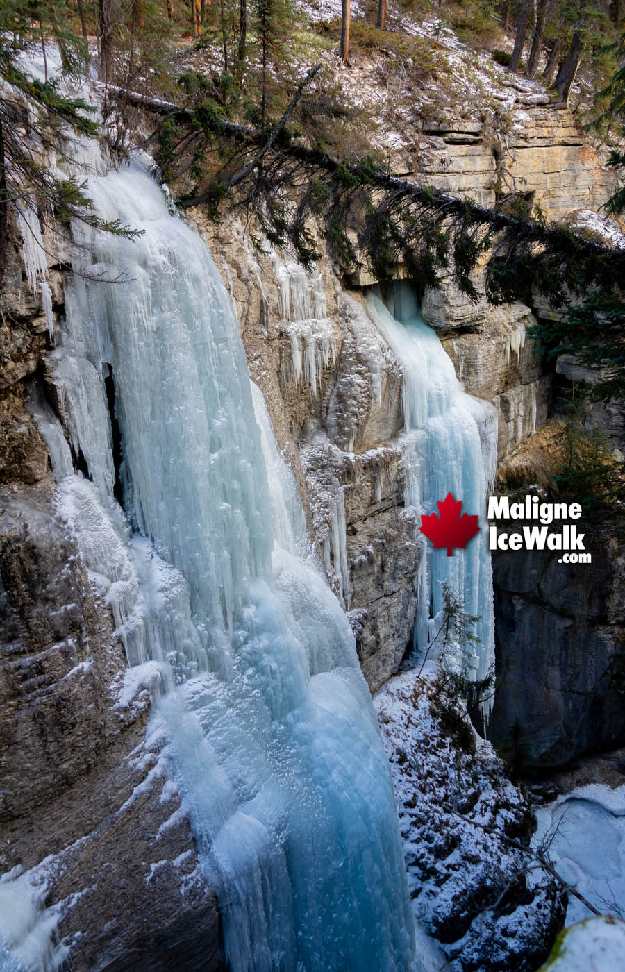 Inside Jasper Canadian Rockies Maligne Canyon Ice Walk