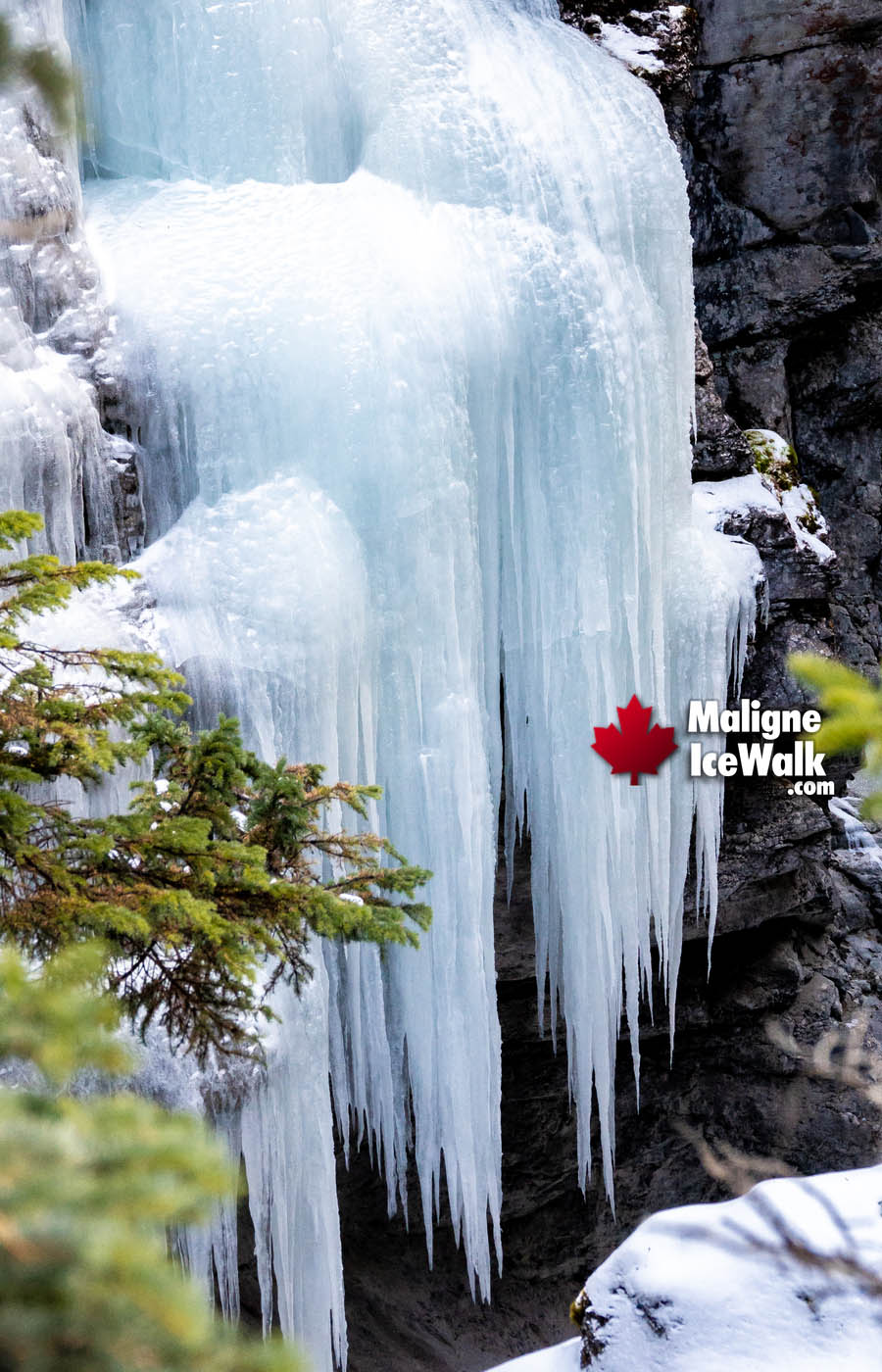 Inside Jasper Canadian Rockies Maligne Canyon Ice Walk