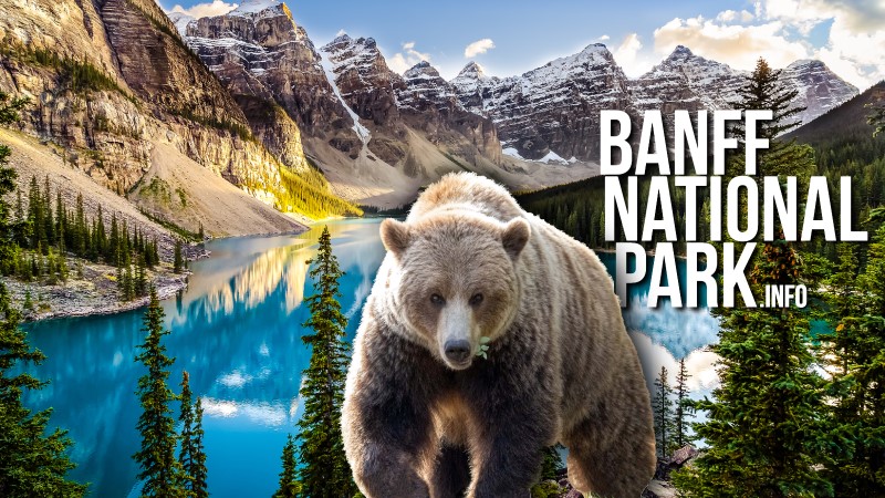 Banff National Park