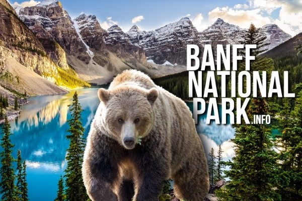 Banff National Park