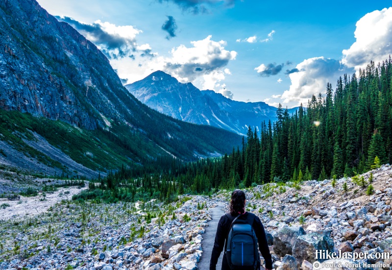 Cavell Meadows Hike
