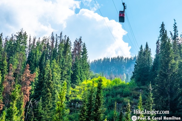 Jasper SkyTram